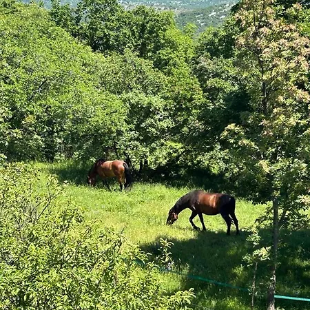 Apartmán Lotus In Skrljevo *